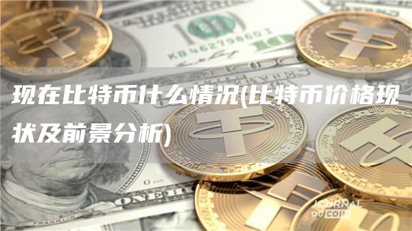 现在比特币什么情况 - 比特币价格现状及前景分析